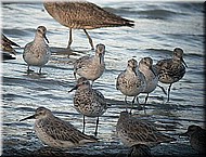 GreatKnot391.jpg