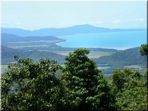 Daintree677.jpg