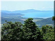 Daintree677.jpg