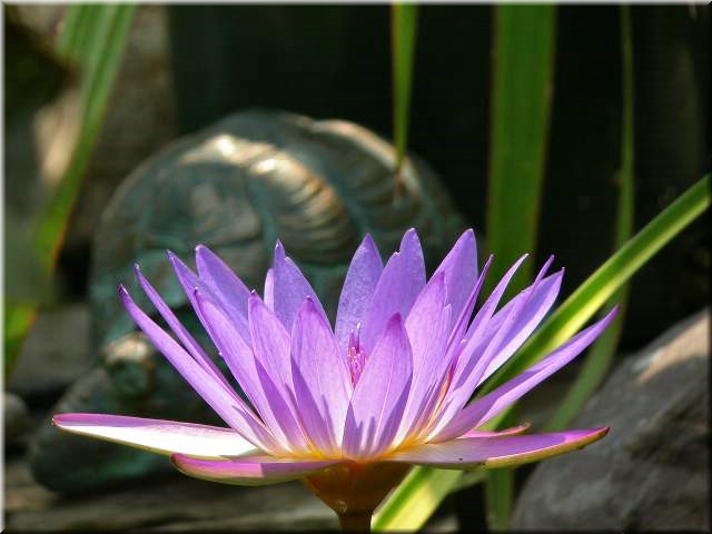Dscn0192.jpg