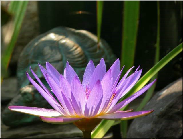 Dscn0194.jpg