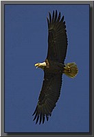 CLICK to enlarge image # 108