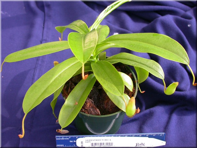 DSCN5812.JPG