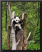 CLICK to enlarge image # 17