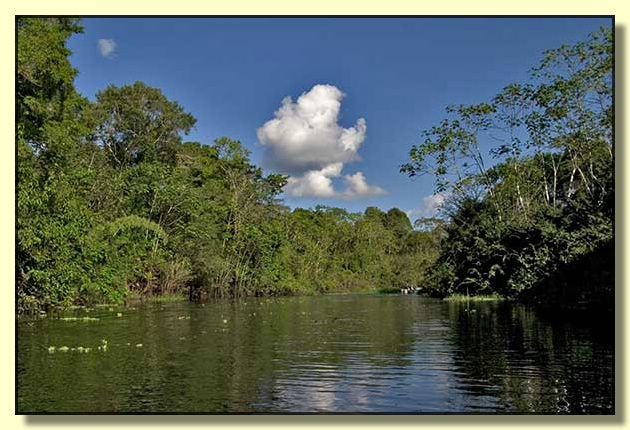 Image # 222, filename CRW_4739
