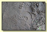 CLICK to enlarge image # 208