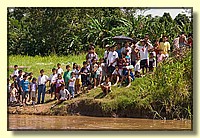 CLICK to enlarge image # 218