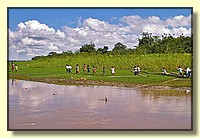 CLICK to enlarge image # 219