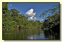CLICK to enlarge image # 222