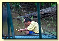 CLICK to enlarge image # 223