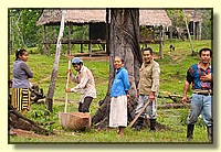CLICK to enlarge image # 224