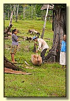 CLICK to enlarge image # 225