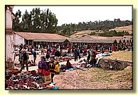 CLICK to enlarge image # 245