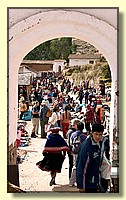 CLICK to enlarge image # 247