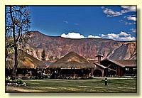 CLICK to enlarge image # 251