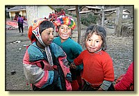 CLICK to enlarge image # 252