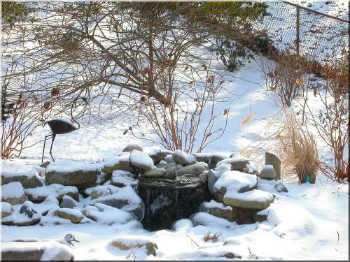 Snow on pond.jpg