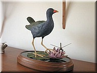 Dscn2836.jpg