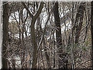 Dscn2852.jpg