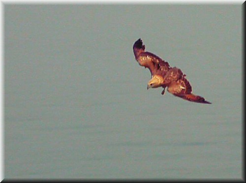 DSCN7134.jpg
