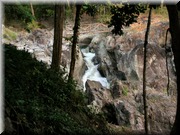 CLICK to enlarge image

Image ID: DSCN7628