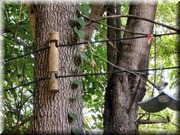 CLICK to enlarge image

Image ID: DSCN7796