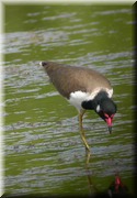 CLICK to enlarge image

Image ID: DSCN8323