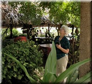 CLICK to enlarge image

Image ID: DSCN8363