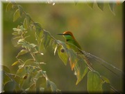 CLICK to enlarge image

Image ID: DSCN8405