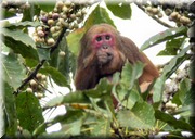 CLICK to enlarge image

Image ID: DSCN8481