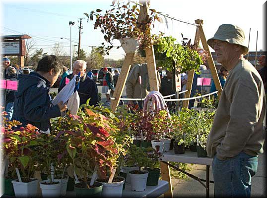 CRW_1579.jpg

