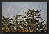 CLICK to enlarge image # 29