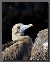 CLICK to enlarge image # 51