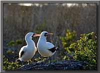 CLICK to enlarge image # 60