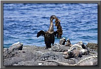 CLICK to enlarge image # 66