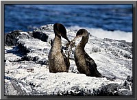 CLICK to enlarge image # 68