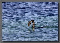 CLICK to enlarge image # 69