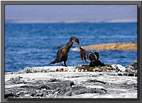 CLICK to enlarge image # 71