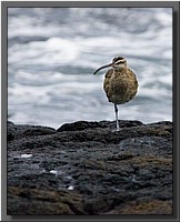 CLICK to enlarge image # 75