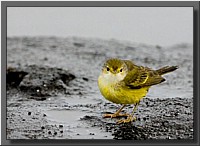 CLICK to enlarge image # 76