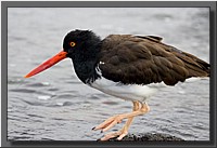 CLICK to enlarge image # 78