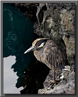 CLICK to enlarge image # 79