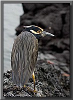 CLICK to enlarge image # 80