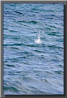 CLICK to enlarge image # 84