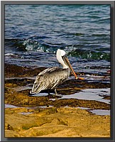 CLICK to enlarge image # 85