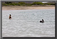 CLICK to enlarge image # 94