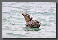 CLICK to enlarge image # 96