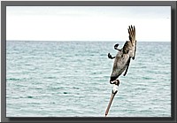 CLICK to enlarge image # 100