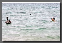 CLICK to enlarge image # 102