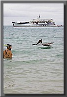 CLICK to enlarge image # 103
